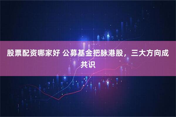 股票配资哪家好 公募基金把脉港股，三大方向成共识